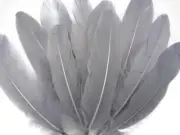 USA SELLER | 1 Pack - Gray Goose Satinettes loose feathers 0.3 oz. Craft Art