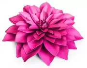 Sizzix Framelits Large Dahlia flower 5-pc set #662395 MSRP $19.99 David Tutera