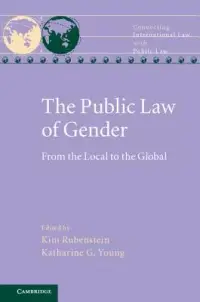 在飛比找博客來優惠-The Public Law of Gender