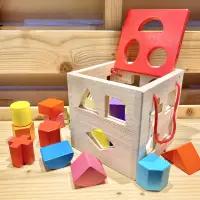 在飛比找蝦皮商城精選優惠-【益智教具】河神幼兒教育玩具。十七孔幾何智力積木盒