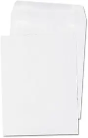Self-Seal Catalog Envelope, 100/Box
