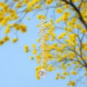 Hanging Crystal Prisms Suncatchers Ornaments Crystal Wind Chimes Colorful