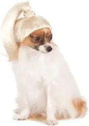 Rubie's Pet Wig Blonde Ponytail, Small/Medium