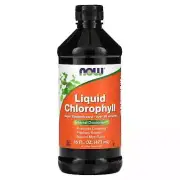 2 X Now Foods, Liquid Chlorophyll, Mint Flavor, 16 fl oz (473 ml)