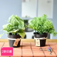 在飛比找PChome24h購物優惠-【Meric Garden】創意北歐仿真療癒小綠植盆栽/桌面