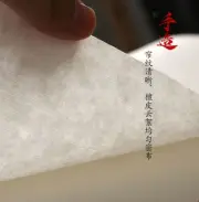 Chinese Tofu Xuan Rice Paper Handmade Sandalwood Paper Calligraphy Painting