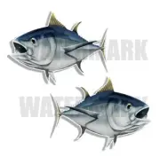 Albacore Tuna Decals Fish Stickers Tackle Box RV Truck Trailer AFP-005.2