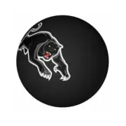 1308 PENRITH PANTHERS NRL TEAM COLOUR LOGO HIGH BOUNCE BALL HAND BALL