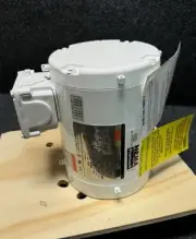 Dayton 1/3 HP Washdown Motor 1TTB1 1TTB1BH 3 Phase
