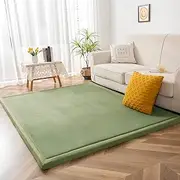 MAXYOYO Coral Velvet Area Rug, 3cm Thick Non-Slip Fluffy Short Pile Crawling Rug, Modern Washable Soft Rug for Boys or Girls Children's Room, Living Room (Light Green, 200×200cm)