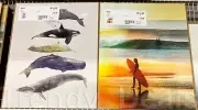 Pack of 2 - Ikea BILD Poster Picture 16x20" (No Frame) California Cool, Whales
