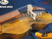 SONG Maestro (6x8) strings 19 1/4"viola da gamba baryton with 7 bridges #11866