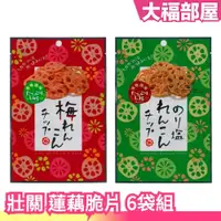 在飛比找蝦皮購物優惠-日本 壯關 蓮藕脆片 18gx6包組 梅子 梅粉 海苔 海苔