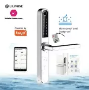 Lock Handle Connects Stainless Steel Smart Pin Biometric S30B Tuya Wifi NFC Bnb