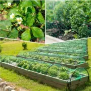 Anti Bird Net Mesh Bird-proof Net Protector Field Pest Supplies Control V9U9