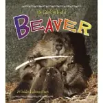 THE LIFE CYCLE OF A BEAVER