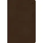 CSB STUDENT STUDY BIBLE, BROWN LEATHERTOUCH INDEXED