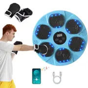 Catzon Bluetooth Music Boxing Machine Wall Mounted with LED for Home-Blue
