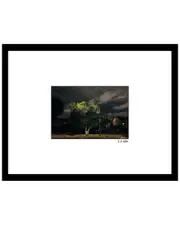 Stormy Nature Wall Art by Steven A. Heller