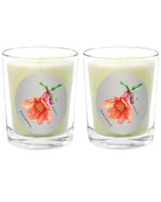 Qualitas Candles Pomegranate Two Scented Beeswax Candle Set