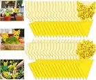 54 Pack Sticky Fruit Fly Traps Indoor Gnat Mosquito Catcher for House Plants Fly