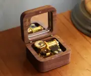 Walnut Tree Titanic OST Orgel Melody Performance Pocket Portable