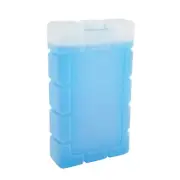 Esky Medium Ice Cooler Brick