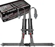 (Single) Aces Racing 4 Point Harness with Padding and EZ Buckle Technology (Silver)