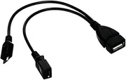DSYJ Micro USB Host OTG Cable with Micro USB Power for Samsung S7 S7 Edge, S6 S6+ S6 Edge, S5, S4 & Nexus 10 9 7 4 Player 2 Pack