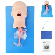 Intubation Manikin Study Teaching Child Model Airway Management Lab PVC Trainer