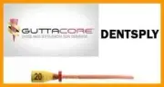 GUTTACORE OBTURATORS SIZE #20. OF 30 OBTURATORS TULSA DENTAL Org.Qlty