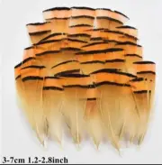 20pcs 3-7cm Black Orange Golden Tippet Pheasant Feathers DIY Art Craft Fly tying