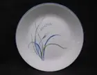 1 Corelle COASTAL BREEZE Sandstone SMOOTH COUPE DINNER PLATE *Ocean Blue Green