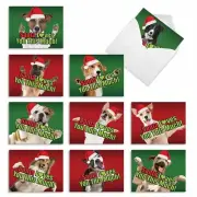 The Best Card Company - 10 Adorable Dog Christmas Cards - Boxed Assortment of...