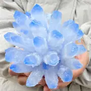 1.43LB Natural Blue Quartz Crystal Cluster Specimen Crystal Flowers Décor