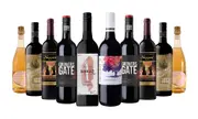 Backyard Wine Tasting Red Wines Mixed - 10 Bottles Including Wines From Award-Winning Wineries