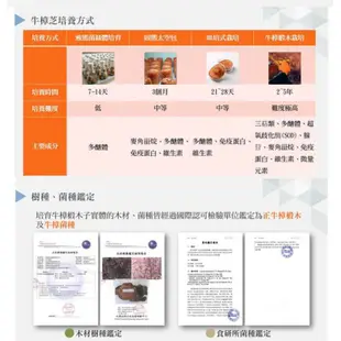 惠盛科技牛樟芝滴丸，黃金高效牛樟芝26%  最後15瓶 謝謝