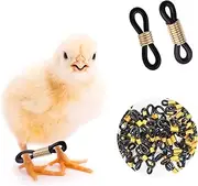 50 Pcs Baby Chick Splay Leg Hobble Chicken Bands Adjustable Hobbling Braces for Spraddle Leg Repair Poultry Care Supplies for Chick Bird Quails Ducks Newly Hatched (Black)