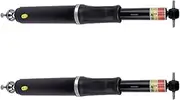 Pair Rear Air Shock Suspension Absorber Strut TCP ，Compatible With Buick Lucerne ，Compatible With Cadillac DTS 2006-2011 19302769 19302768