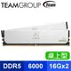 TEAM 十銓 T-CREATE EXPERT DDR5-6000 32G(16G*2) 記憶體《白》(CL30)