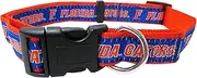 College Florida Gators Dog Collar, Large