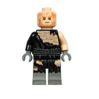 在飛比找蝦皮購物優惠-|樂高先生| LEGO 樂高 75183 Star War 