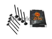 Genuine Royal Enfield "INTAKE & EXHAUST VALVE" Twins For GT & Interceptor 650 (for: Royal Enfield)