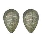 2 Pcs Wasp Nest Decoy Wasp Deterrent for Outdoor Hanging, Home and Garden D6P9