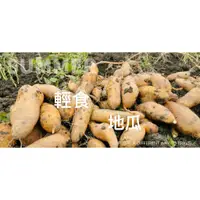 在飛比找蝦皮購物優惠-【地瓜阿銓】57號黃地瓜/雲林水林地瓜/無農藥驗證~豐富膳食