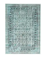 ECARPET Wilby Transitional Vintage Rug