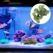 Betta Fish Resting Leaf Artificial Aquatic Plants Tank Decorations