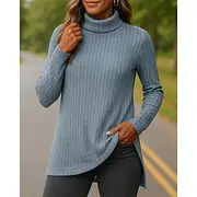 Women's Pullover Sweater Turtleneck Sweater Long Sleeve Top Athleisure High Neck Fashion Warm Outdoor Sportswear Activewear Solid Colored Dark Grey Black Red