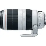 Canon EF 100-400mm f/4.5-5.6L II IS USM Camera Lens