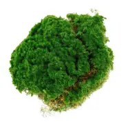 Artificial Moss Turf for Plants Sphagnum Simulation Fake Grass